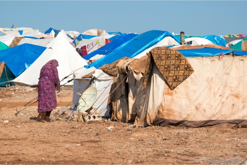 A Response to the Afghan Crisis